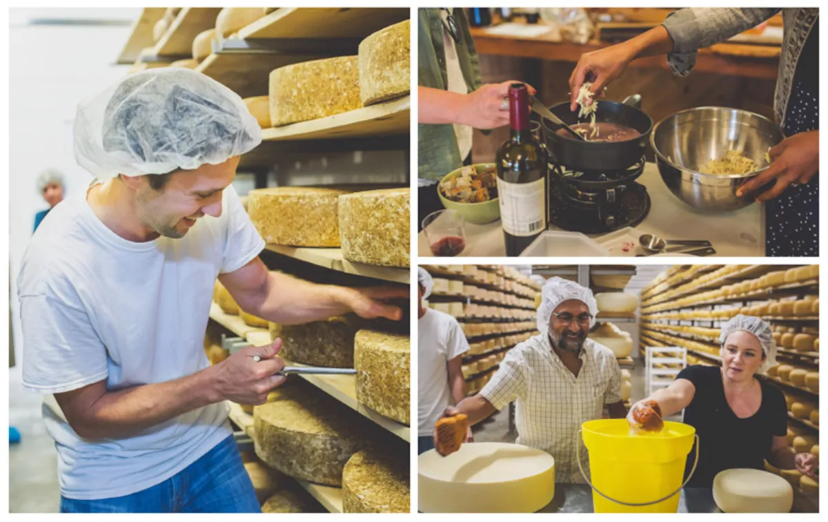 奶酪在木架上熟化 - 巨乳 的时间艺术